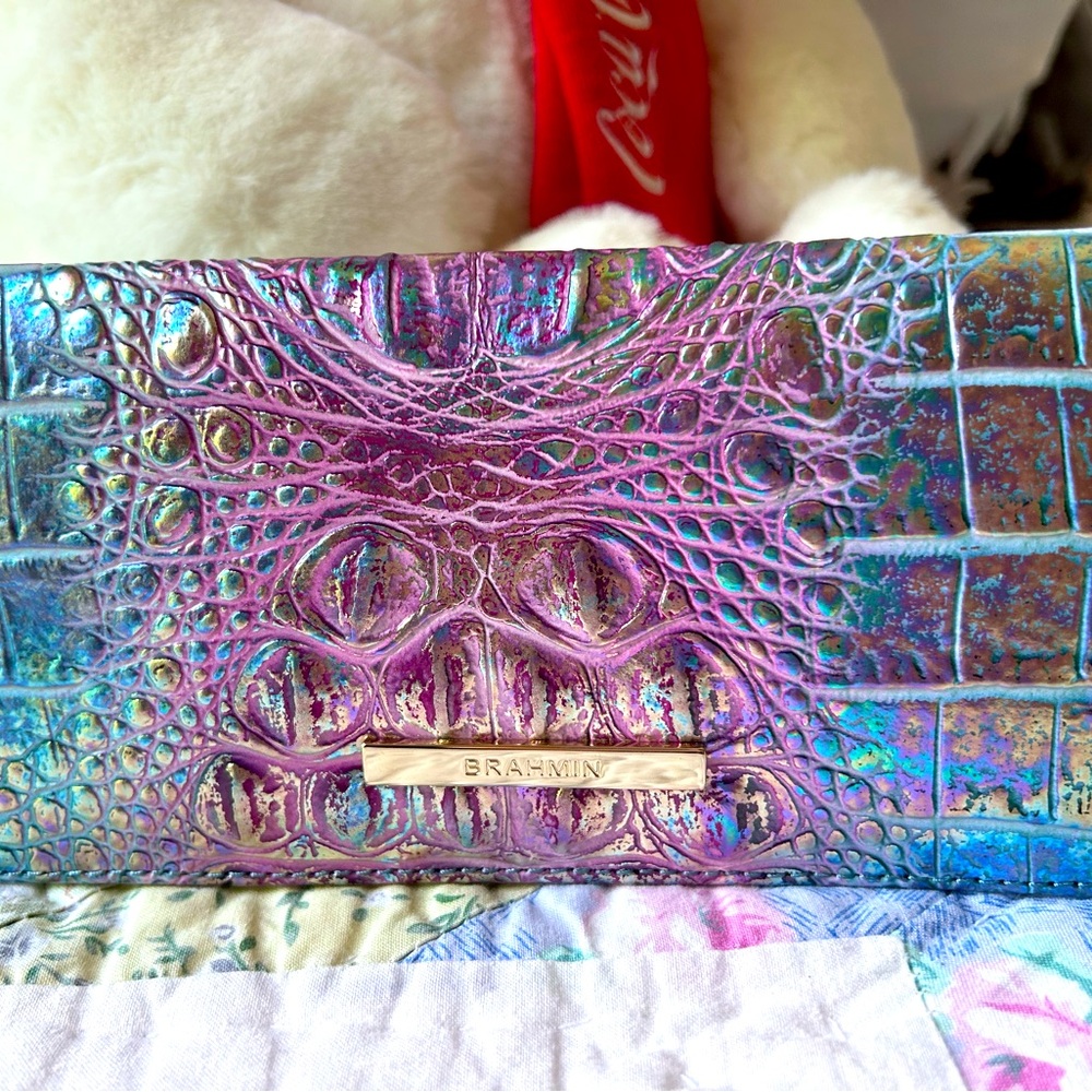 Brahmin Visionary Delphine Ady Wallet-BNWT